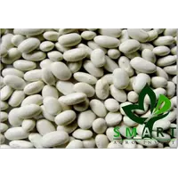 OOO "Смарт Агро Инвест" реализует на экспорт фасоль сорта « Плоская»