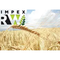 Компания Smart Agro Invest покупает пшеницу на выгодных условиях